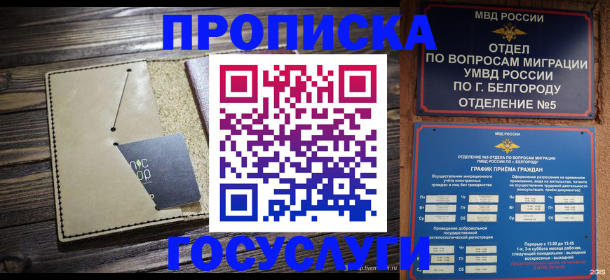 прописка гарантия в Москве